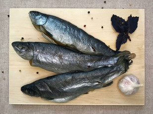 Рыцарское мясо утка: Форель радужная вяленая