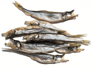 Морской коктейль (500гр): Корюшка (мелкая) вяленая (Камчатка)